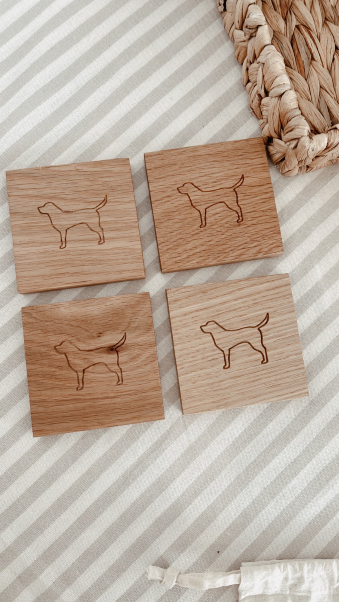 Labrador Coasters