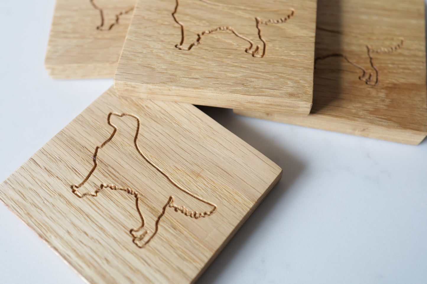 Retriever coaster