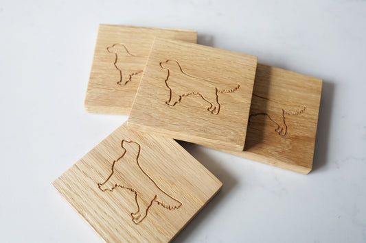 Retriever coaster